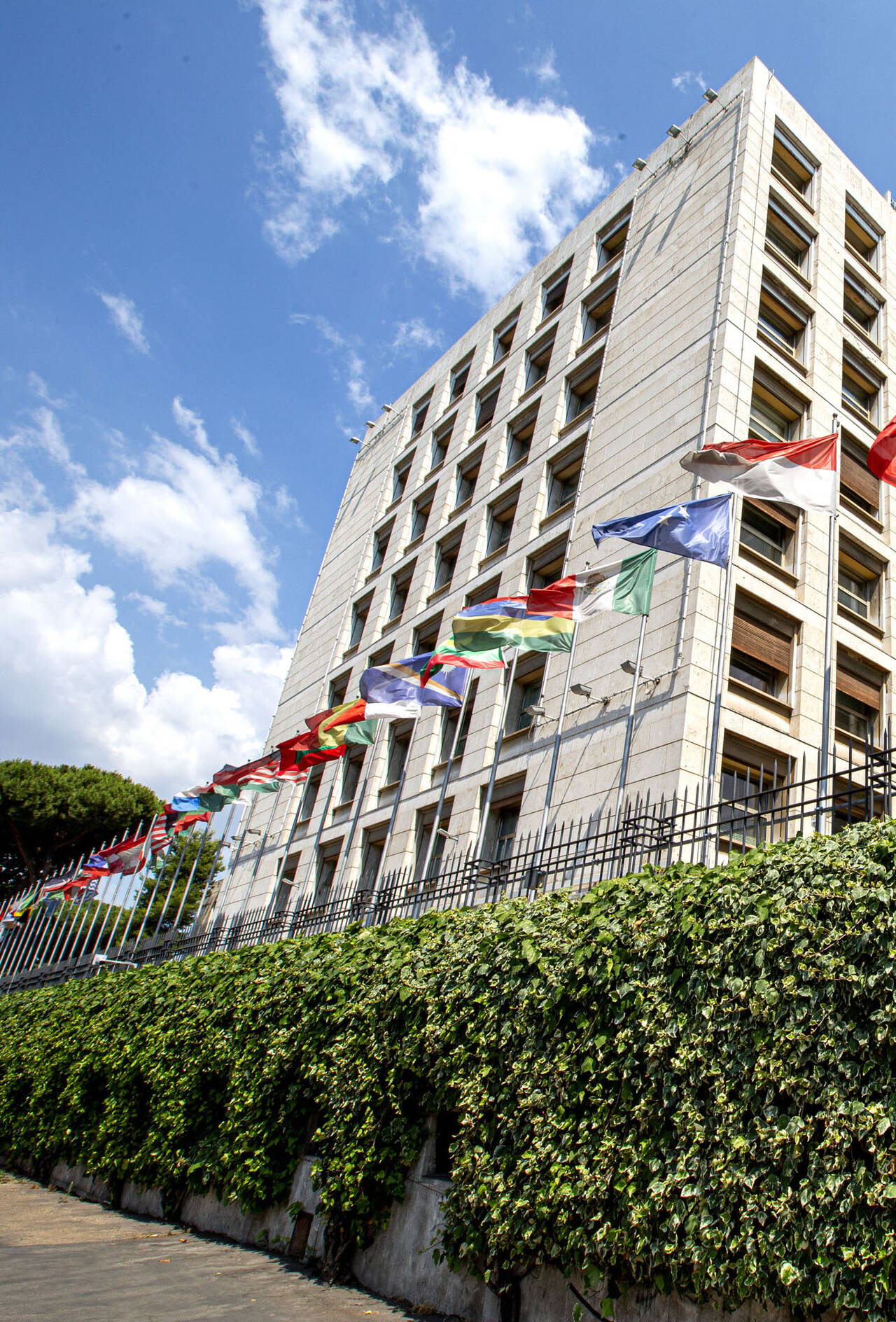 برنامج التدريب الصيفي لمنظمة الفاو | الشروط المميزات وطريقة التقديم