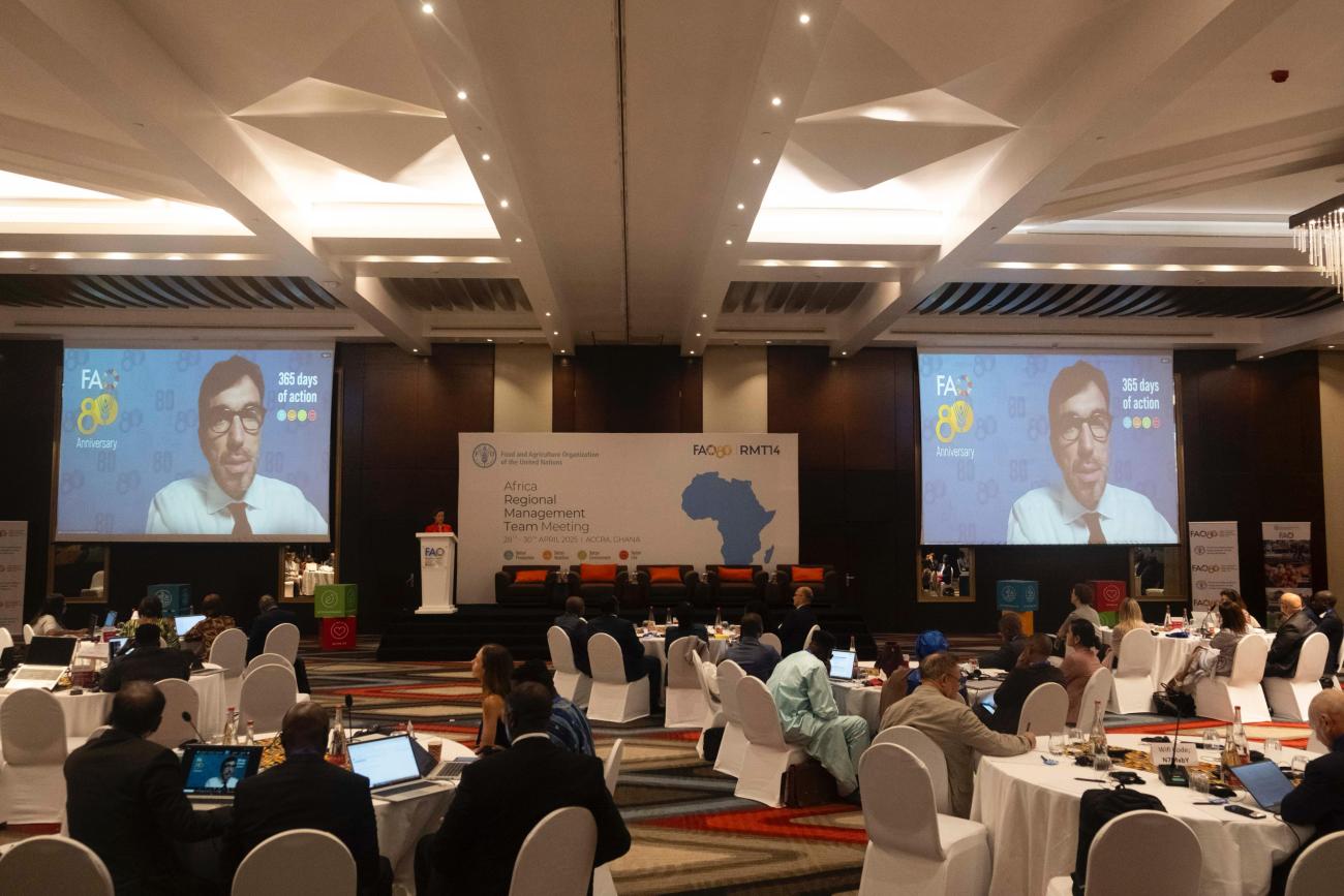 برنامج التدريب الصيفي لمنظمة الفاو | الشروط المميزات وطريقة التقديم