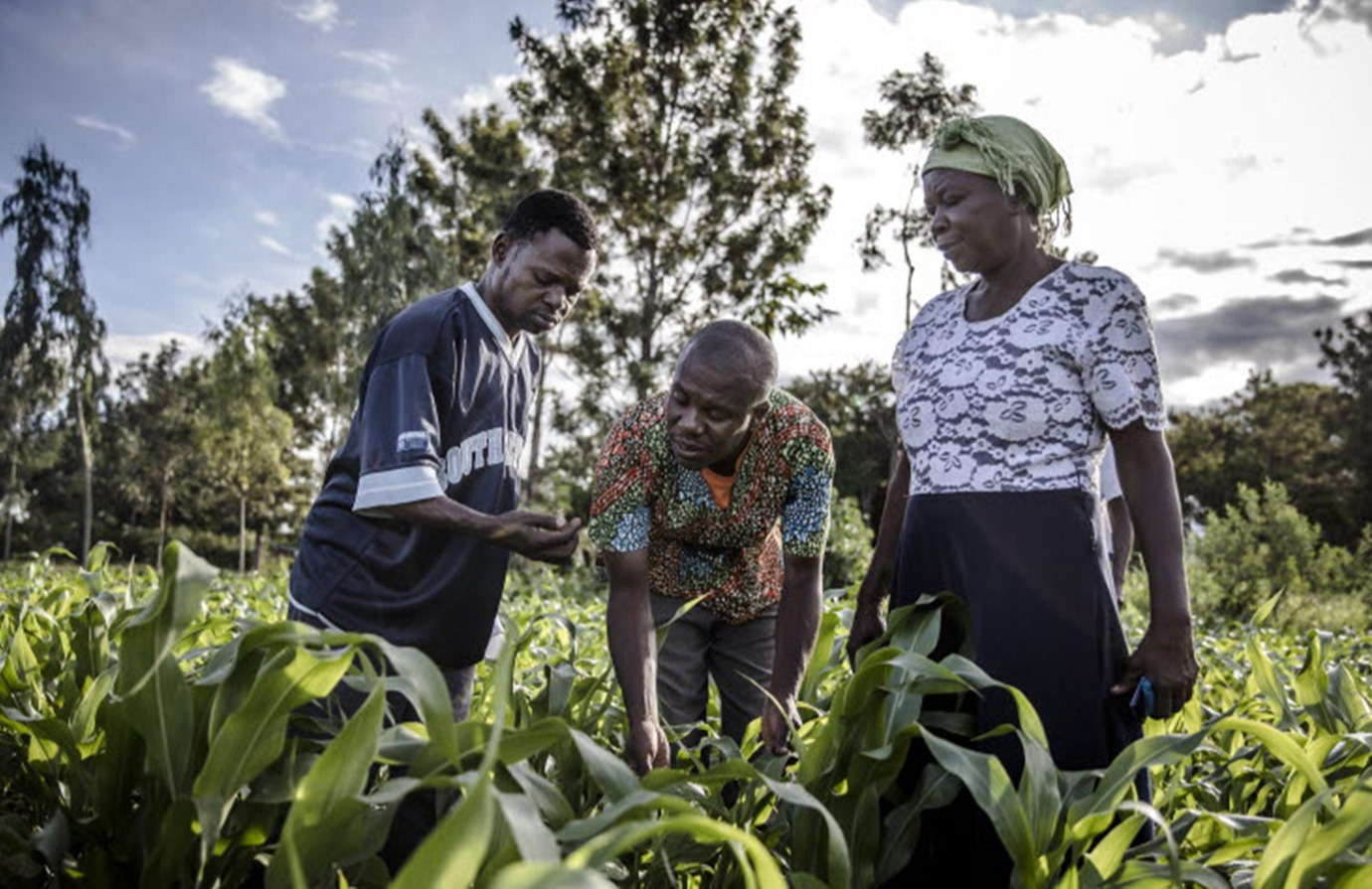 برنامج التدريب الصيفي لمنظمة الفاو | الشروط المميزات وطريقة التقديم