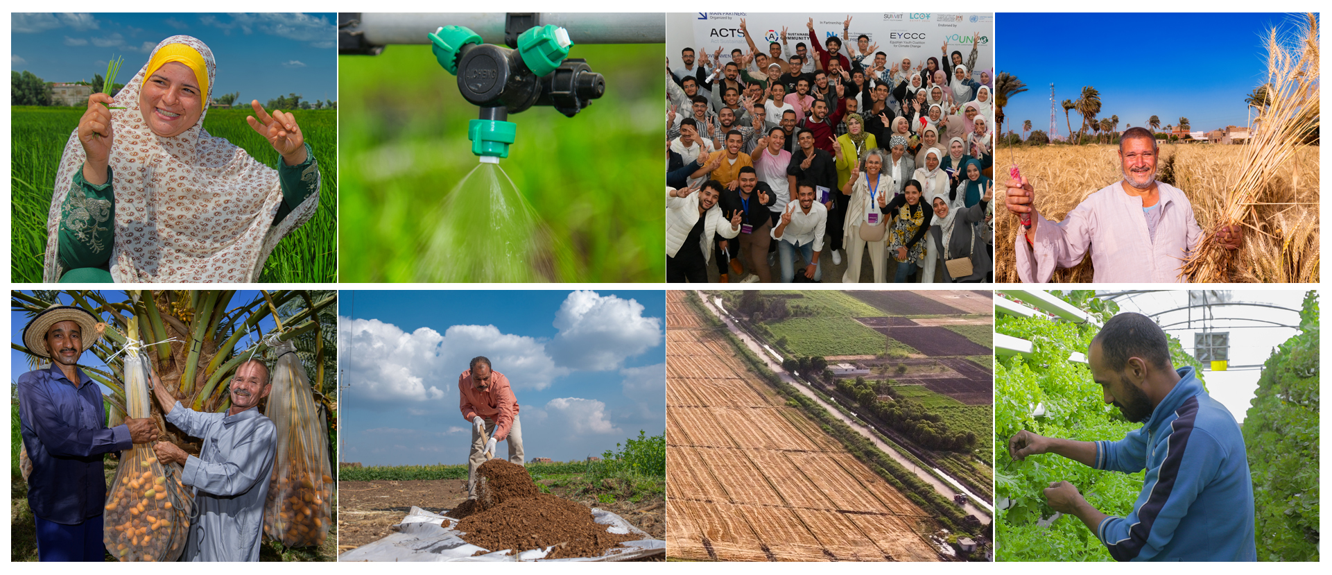 برنامج التدريب الصيفي لمنظمة الفاو | الشروط المميزات وطريقة التقديم