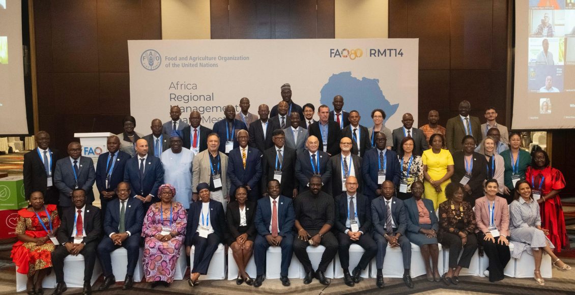 برنامج التدريب الصيفي لمنظمة الفاو | الشروط المميزات وطريقة التقديم